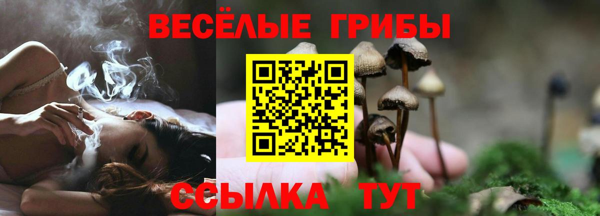 Галлюциногенные грибы мицелий  Псилоцибиновые грибы Psilocybine cubensis  Вход с VPN  Октябрьский 
